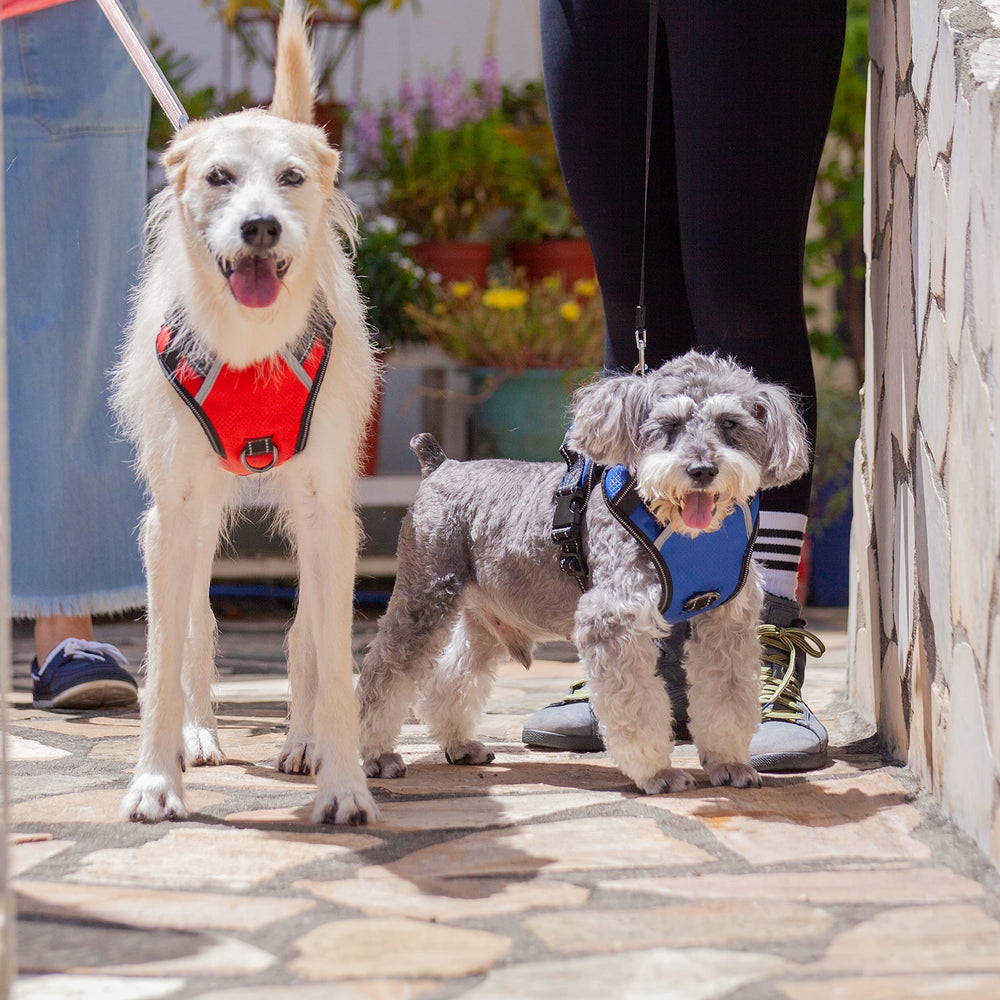 Puwihoe adjustable clips ensure a snug, secure fit.