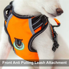 Puwihoe No Pull Harness back clip for relaxed walks and security.