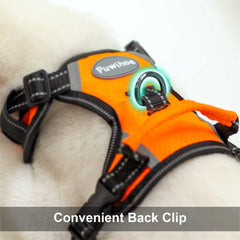 Puwihoe reflective straps on harness boost nighttime visibility.