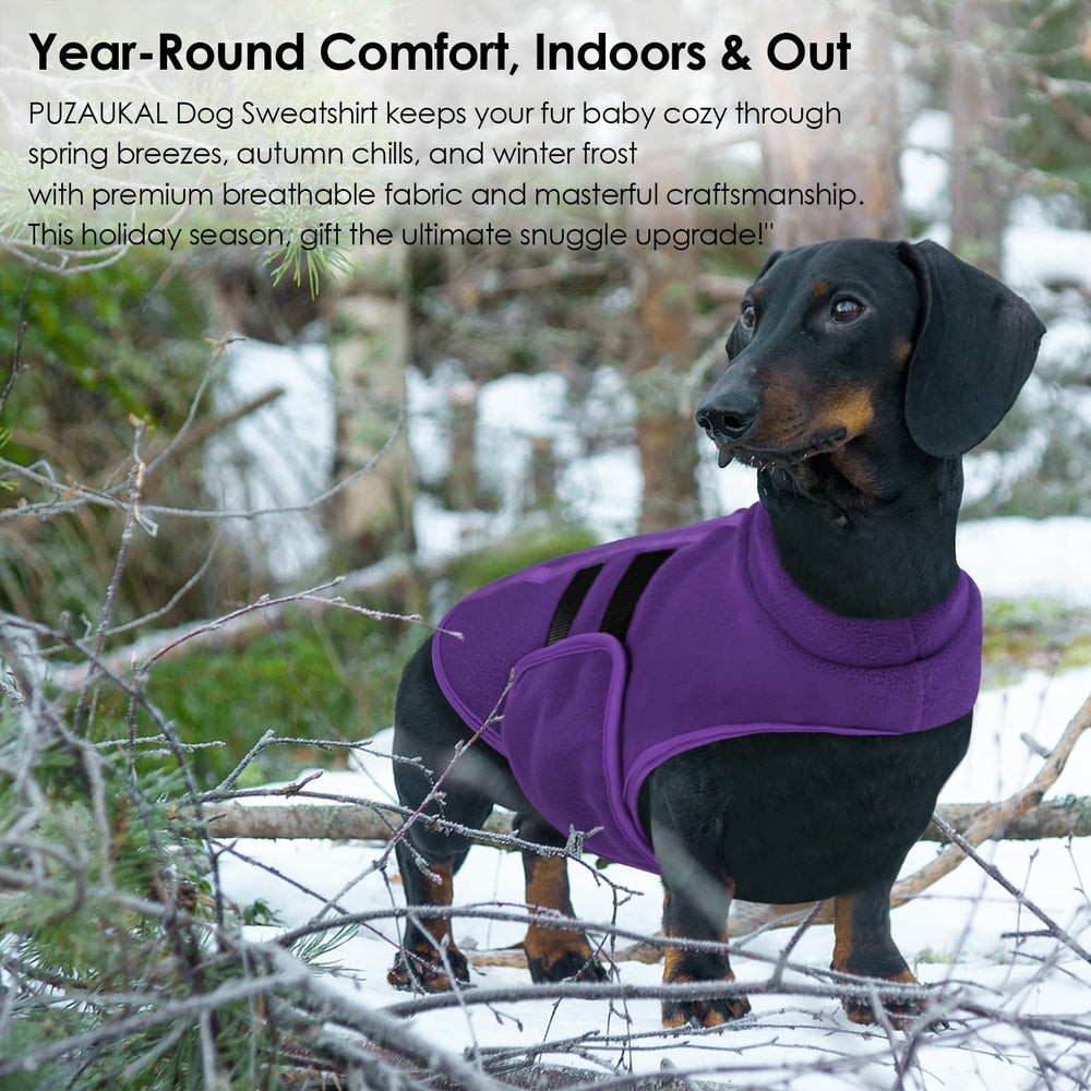 PUZAUKAL dog sweater dachshund-friendly fit for short backs