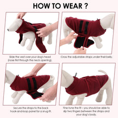 PUZAUKAL dog sweater with spine stripe design adds retro style to daily wear.