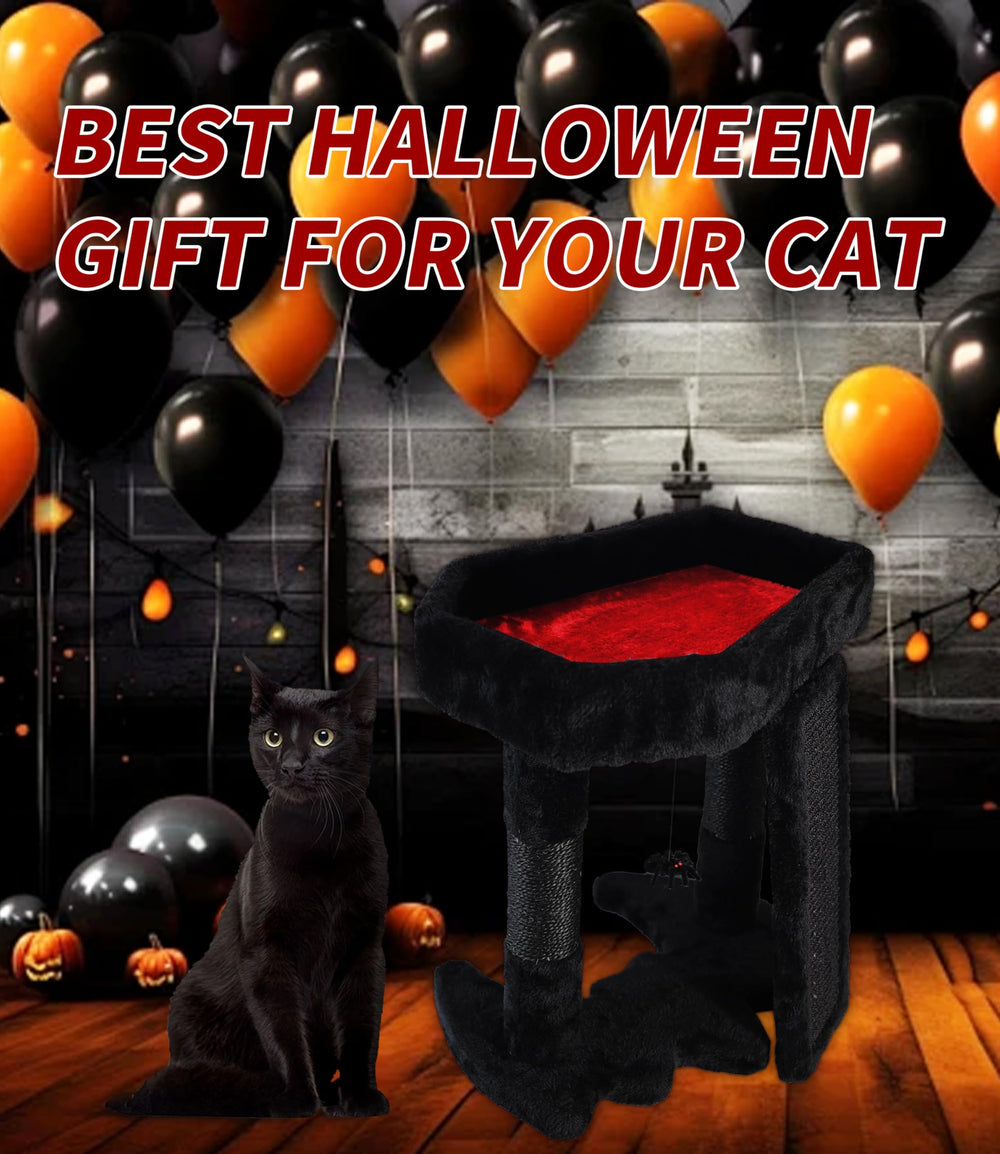 PuzzlePaw spider-toy-hanging engages cats during playtime for activity