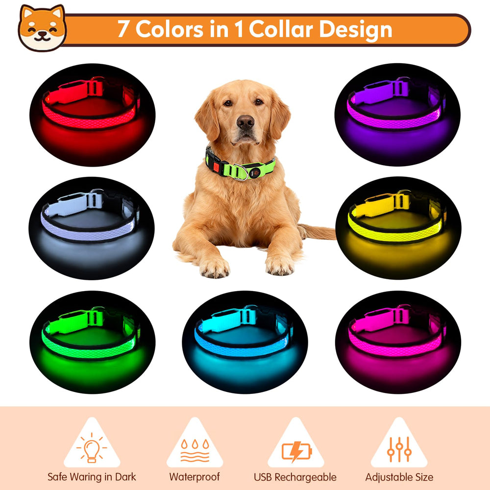 PWOD LED dog collar with D-ring leash attachment for secure walks