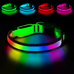 PWOD LED dog collar in night scene showing bright visibility for safer night walks