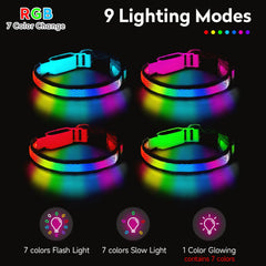 PWOD LED dog collar soft nylon webbing for comfortable wear