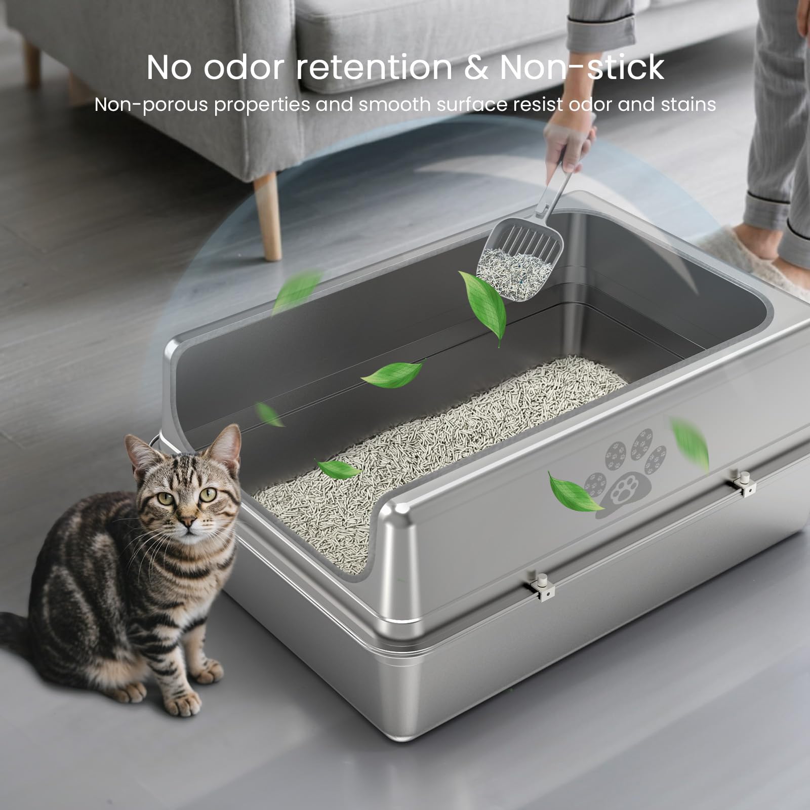 PWTAA litter mat and scoop included for contained cleanup.
