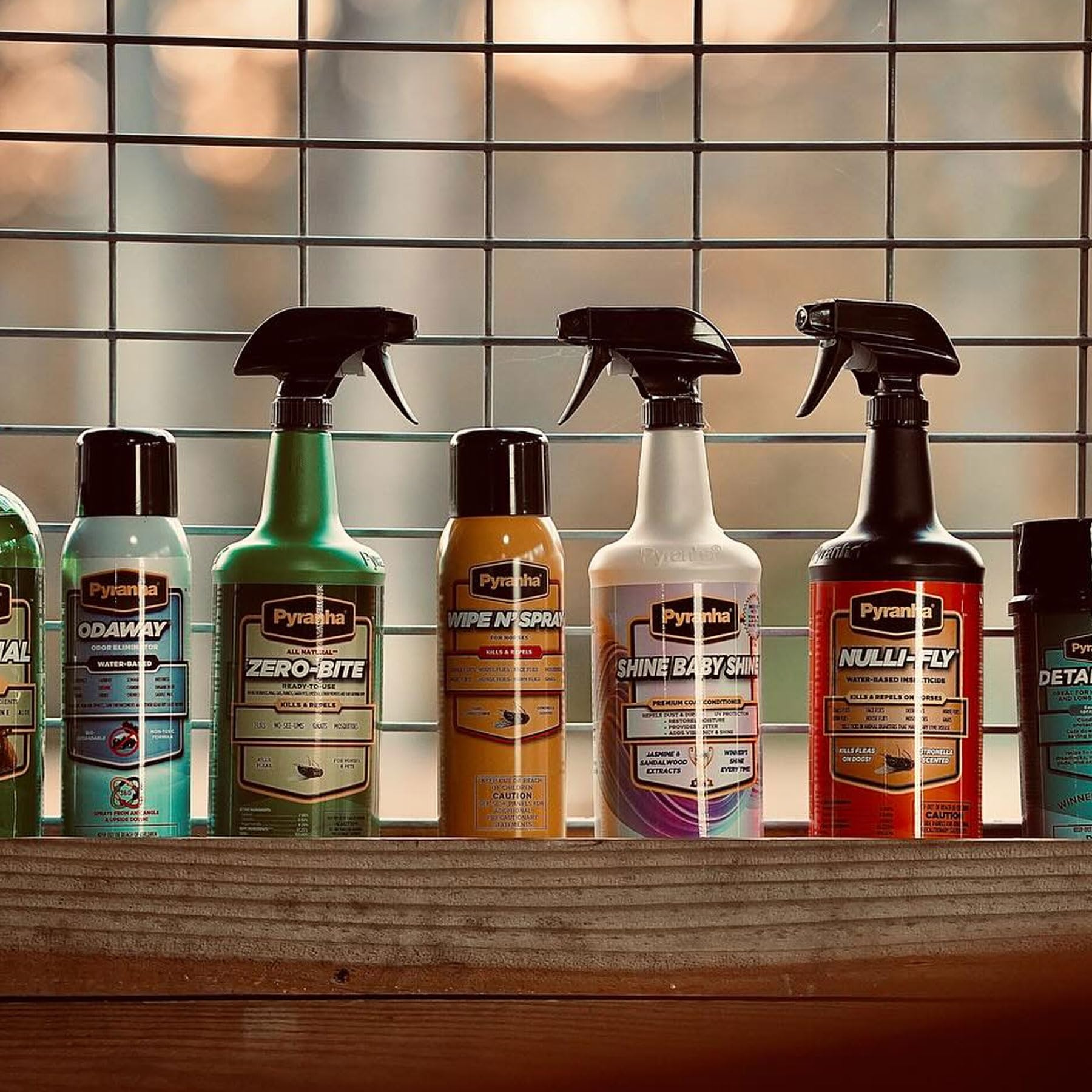 Show-ready coat with Pyranha Wipe N' Spray conditioning and gloss.
