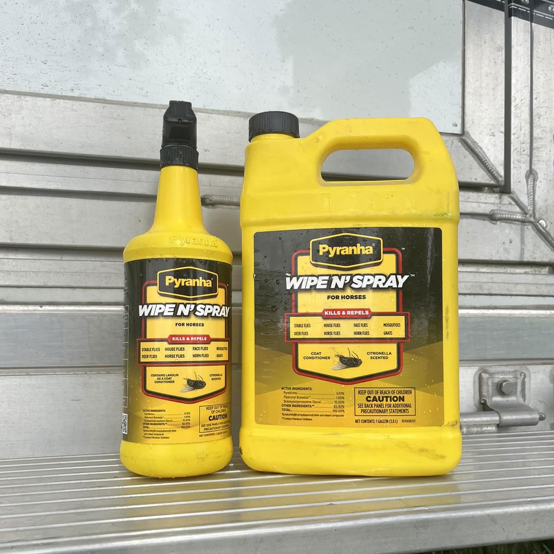 Pyranha Wipe N' Spray coats the horse with a glossy finish.