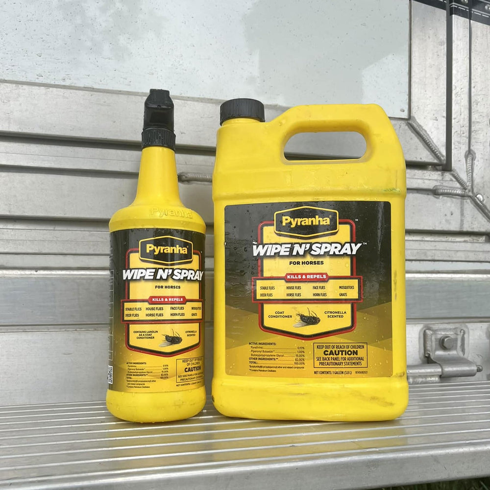 Pyranha Wipe N' Spray coats the horse with a glossy finish.