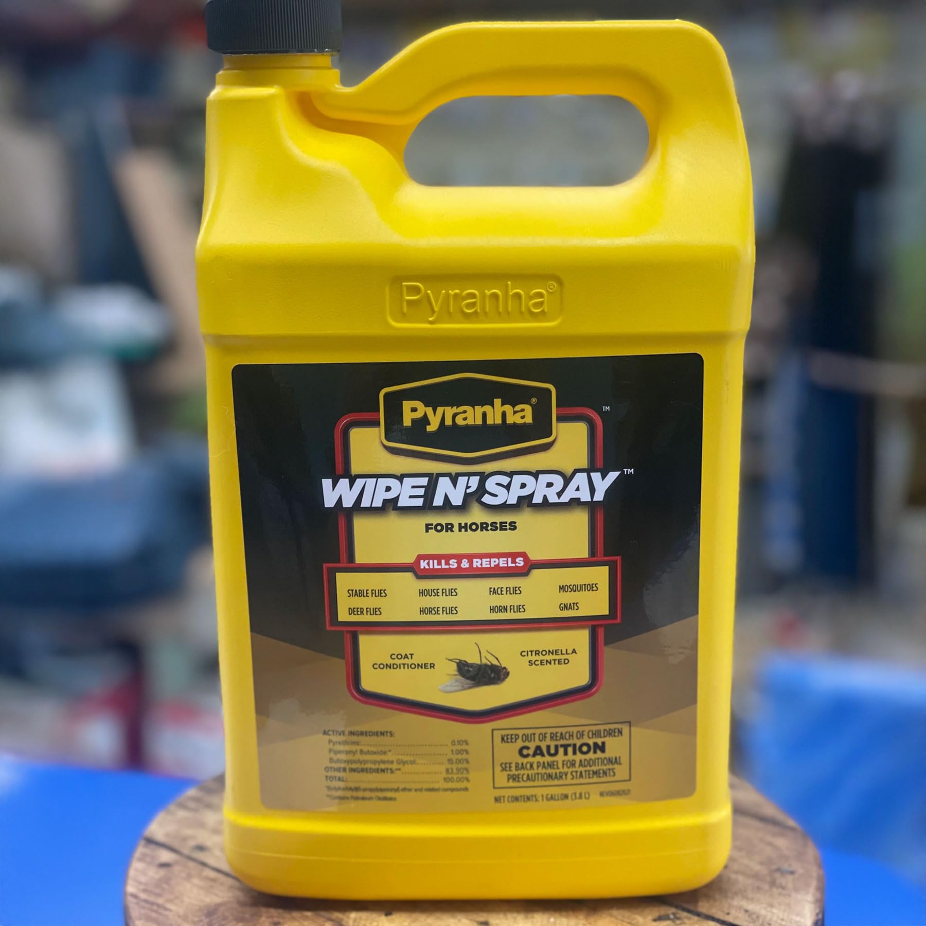 Pyranha Wipe N' Spray applied to a horse coat during grooming.