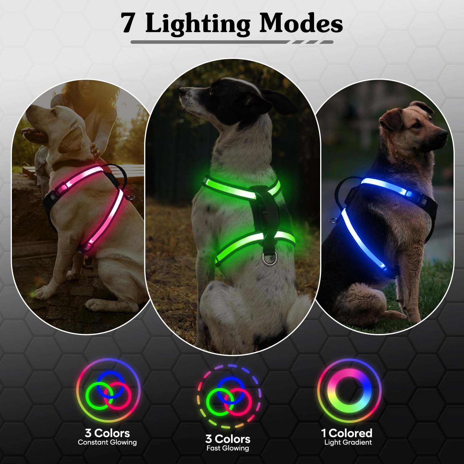 PZRLit LED harness with 7 light modes for customizable night safety