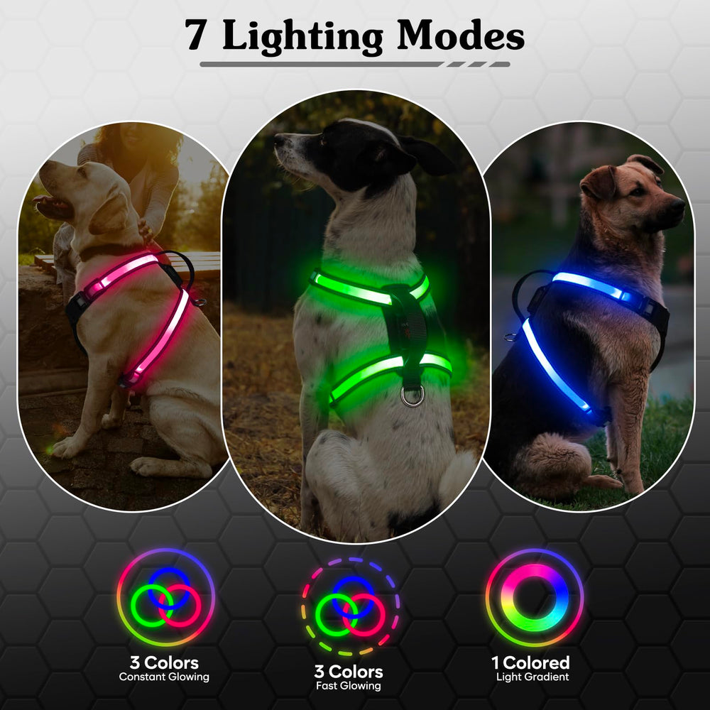 PZRLit LED harness shows 7 modes and color options for versatile night-time use.