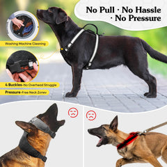 PZRLit USB-C rechargeable harness with battery indicator keeps lights ready on walks
