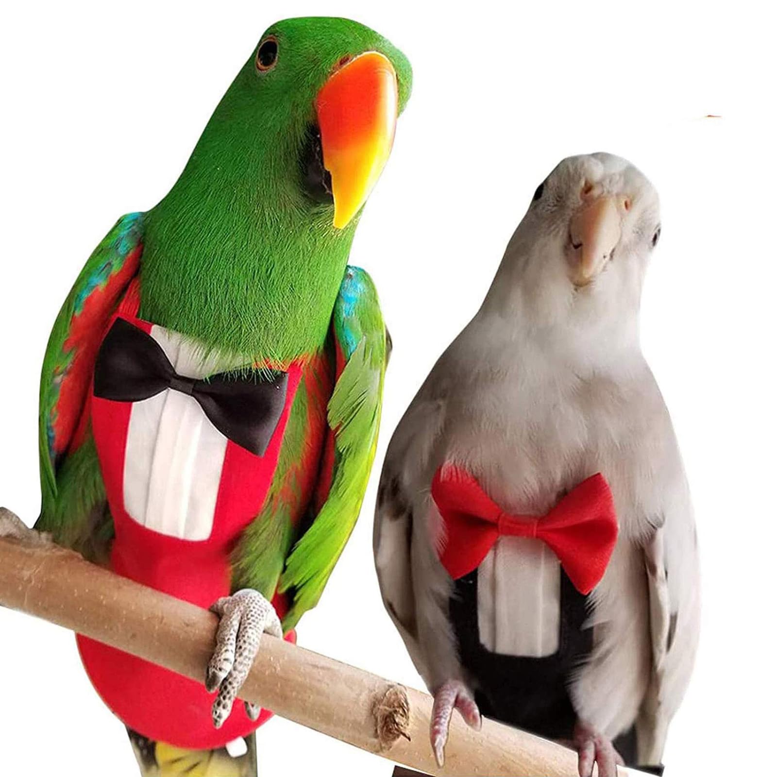QBLEEV bird diapers on cockatiel tuxedo for photo-ready appeal