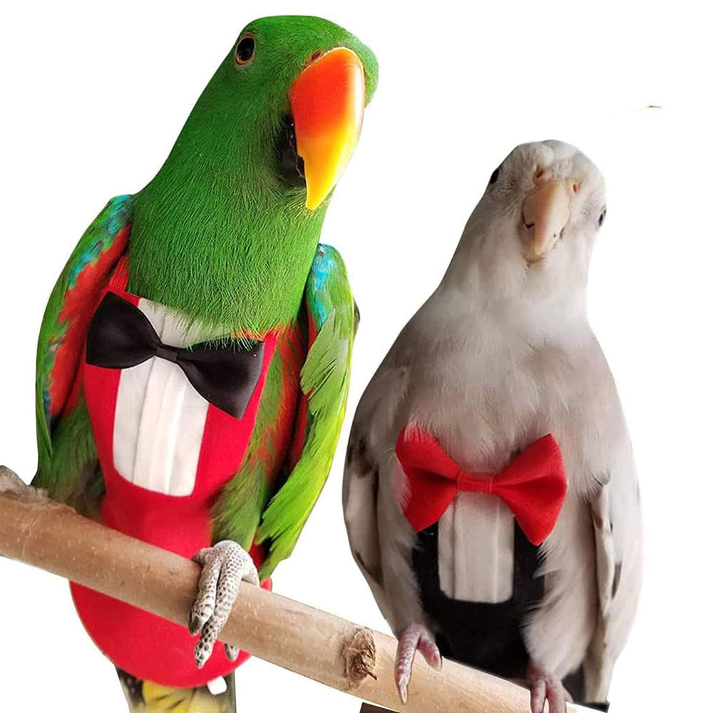 QBLEEV bird diapers on cockatiel tuxedo for photo-ready appeal