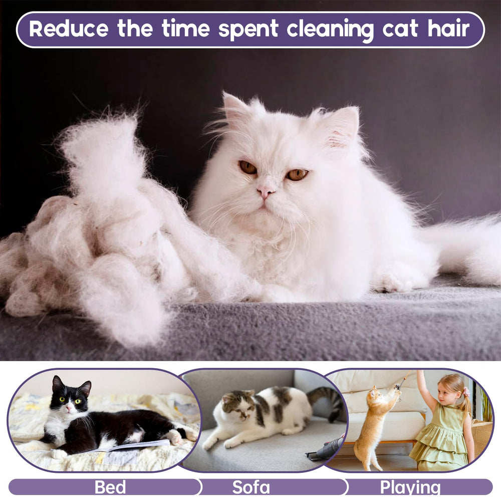 QBLEEV recovery fit offers gentle comfort after surgery or vet visits