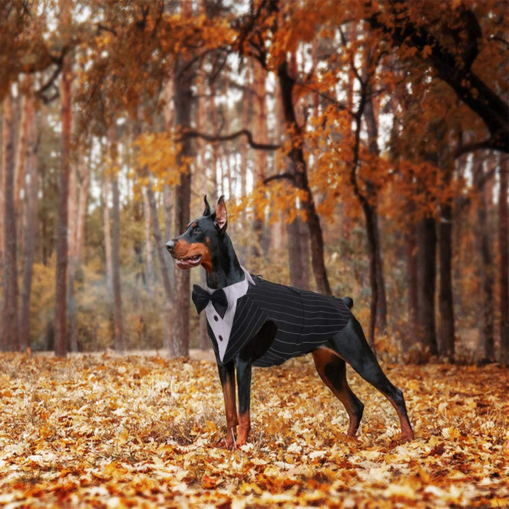 QBLEEV Stripe XL dog bandana set adds festive accent and style
