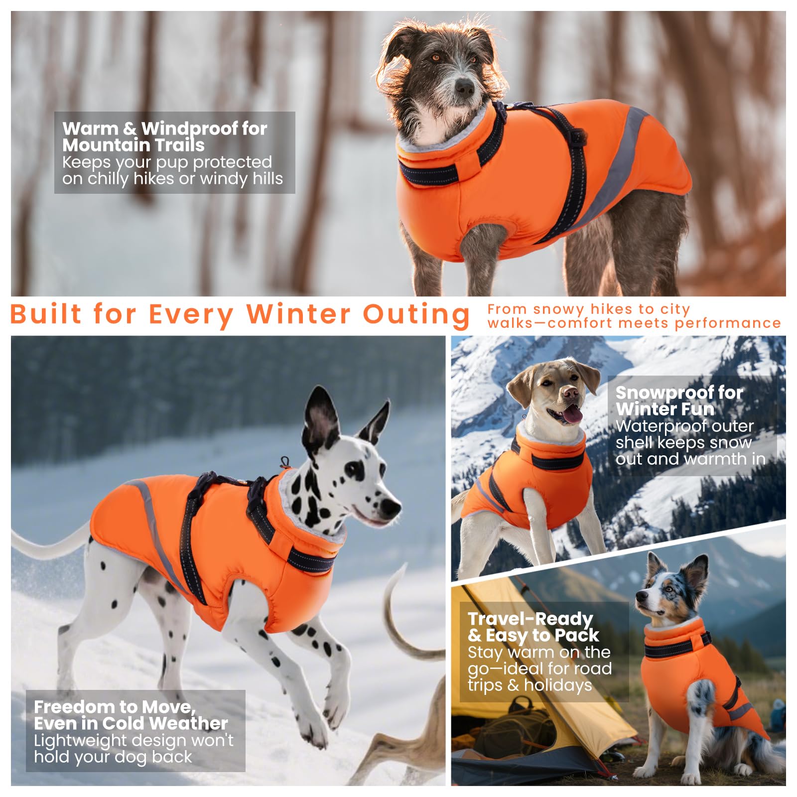 QBLEEV dog coat size range XS to XXXL accommodates many breeds.