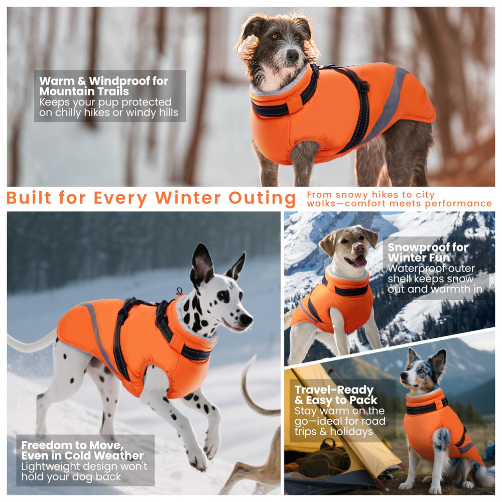 QBLEEV dog coat size range XS to XXXL accommodates many breeds.