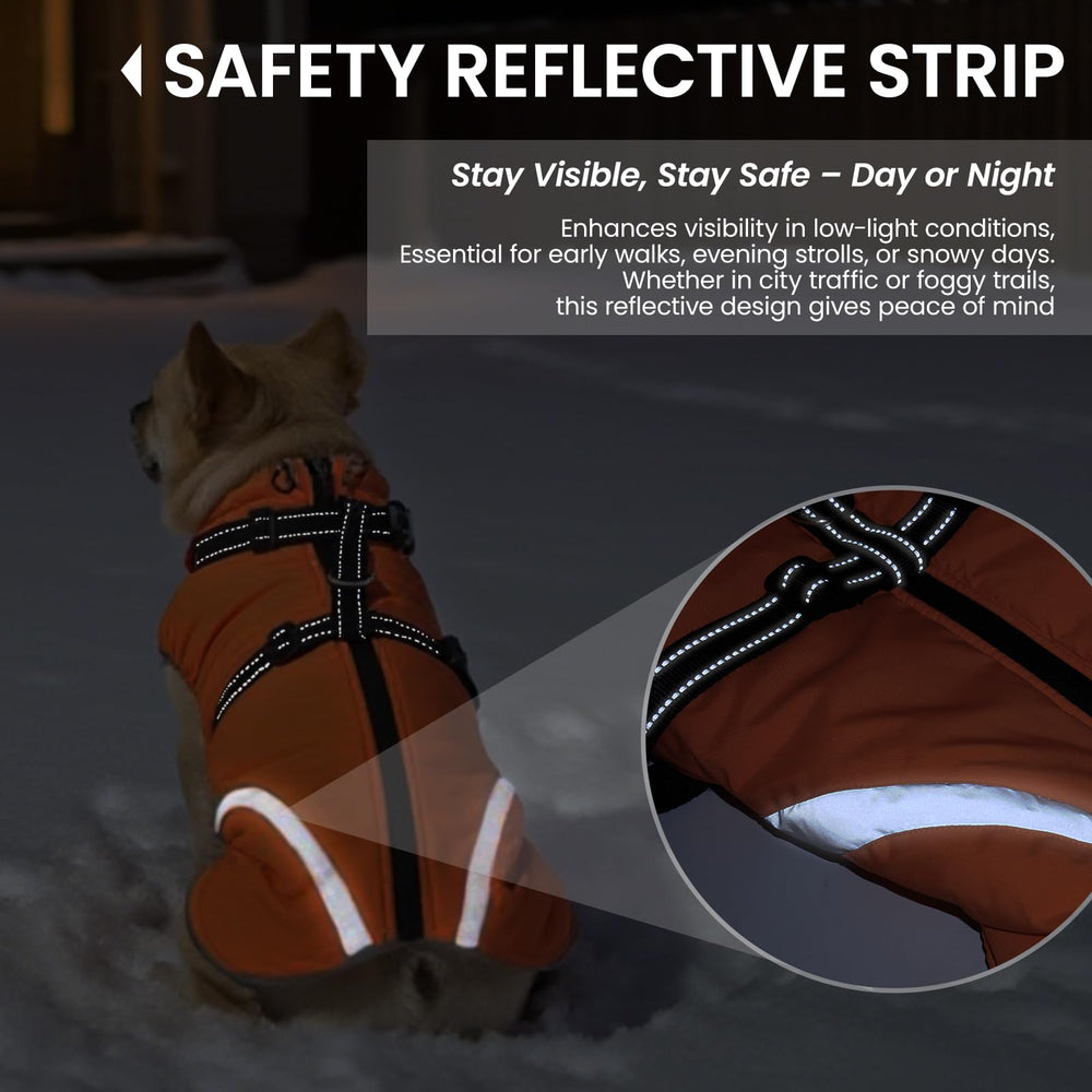 QBLEEV dog coat turtleneck close-up showing wind protection on chilly mornings.