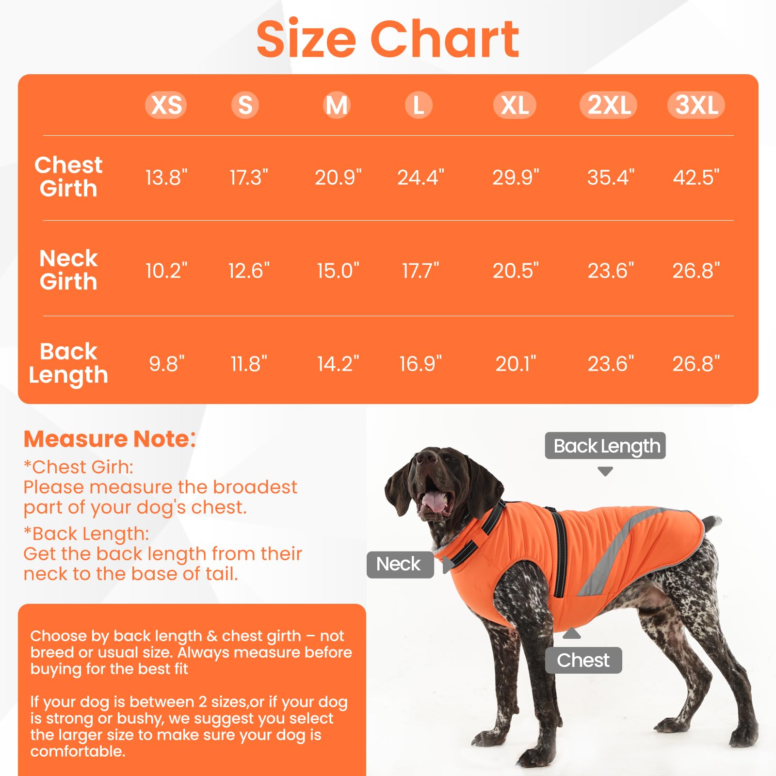 QBLEEV dog coat machine washable for easy care.