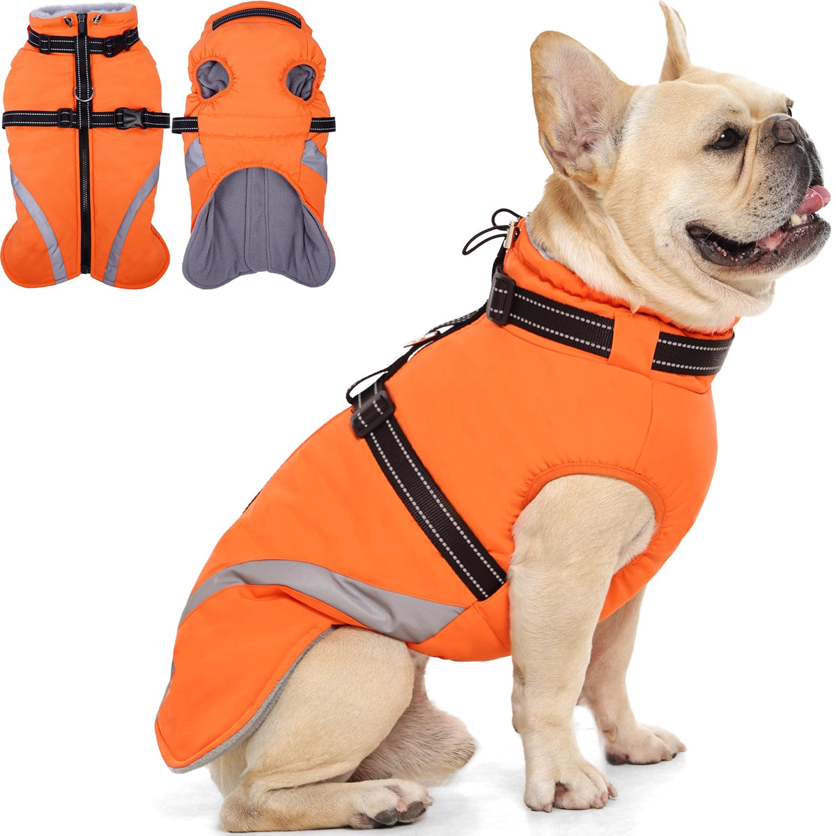 QBLEEV dog coat waterproof with built-in harness front view for easy leash attachment.