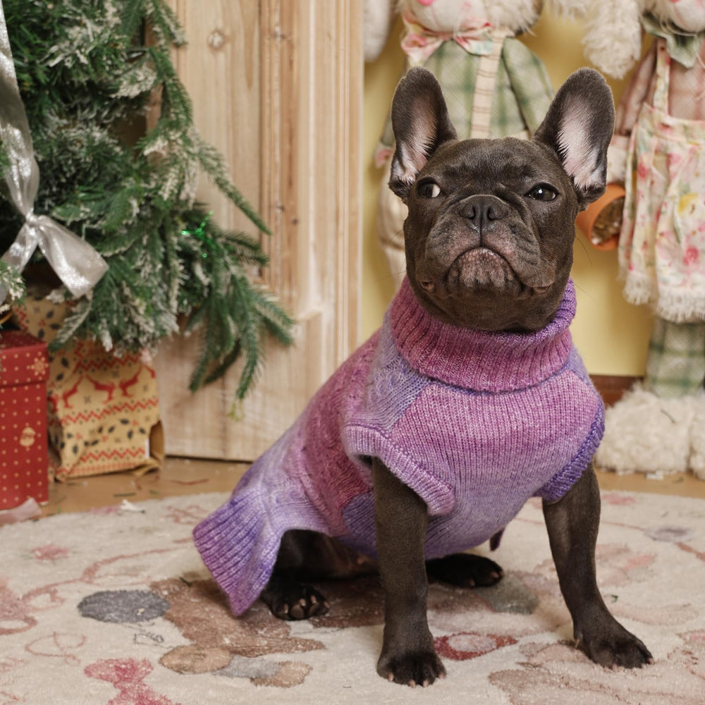 QBLEEV dog sweater dress in holiday photos boosts festive charm.
