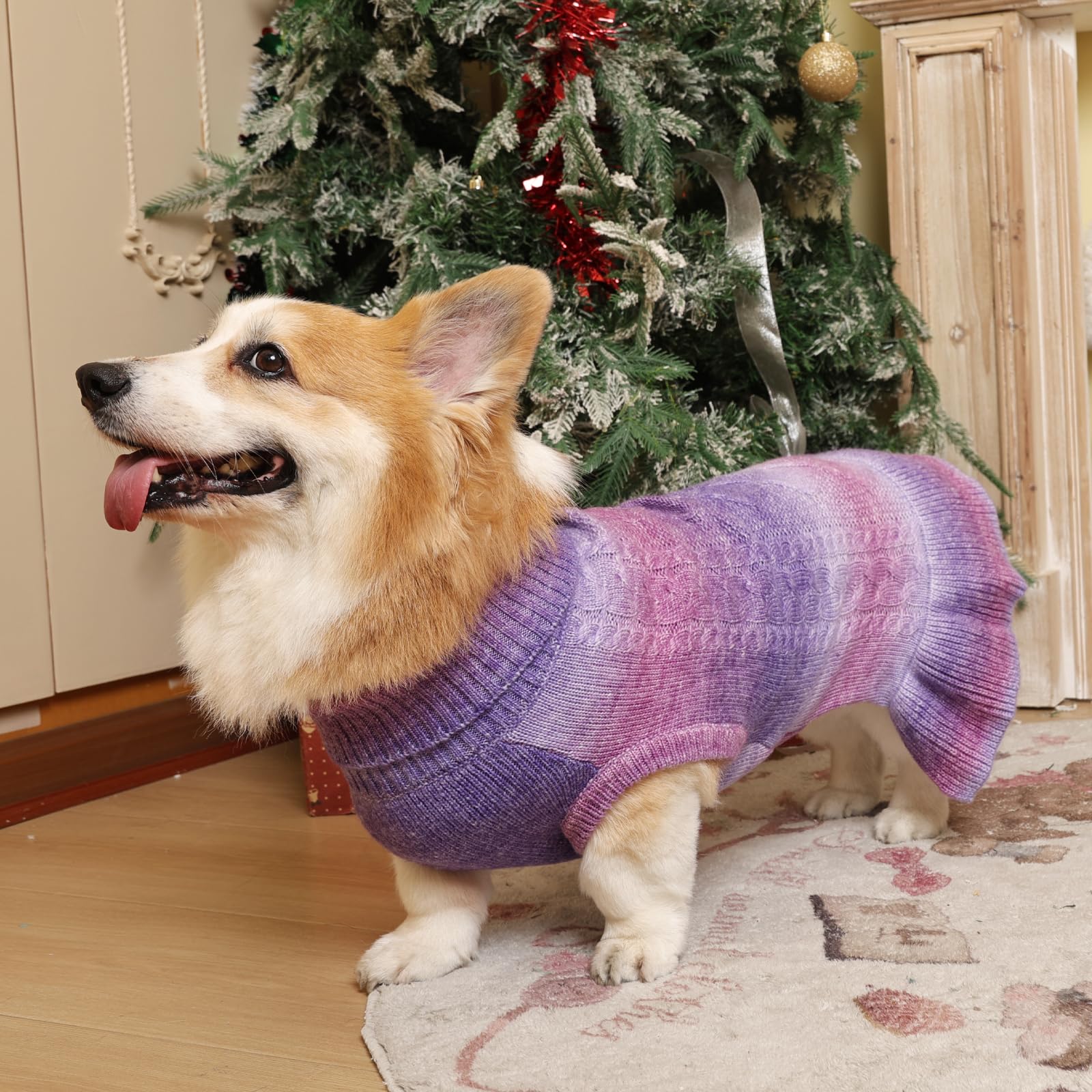 QBLEEV dog sweater holiday-ready look for daily activities and photos