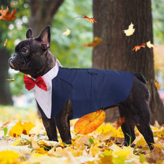 QBLEEV dog tuxedo adjustable neck and belly straps for comfort.