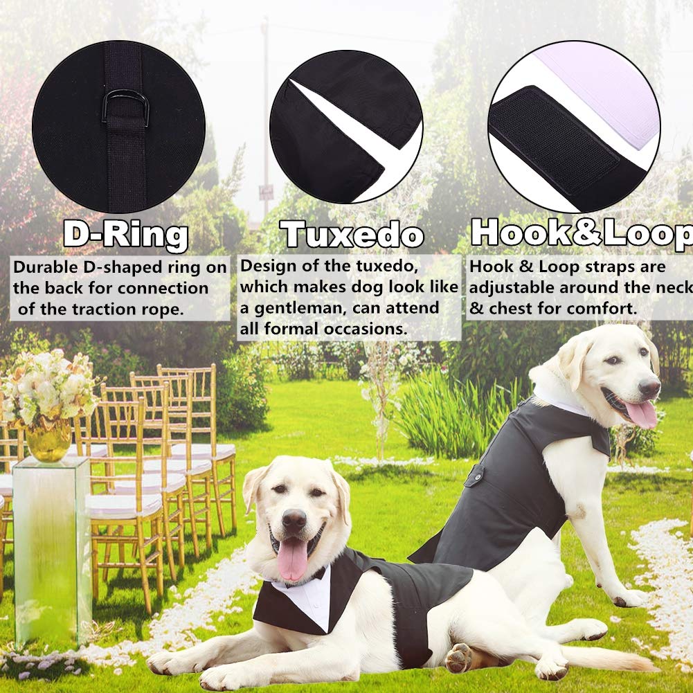 QBLEEV dog tuxedo bow tie detail adds polished, festive flair