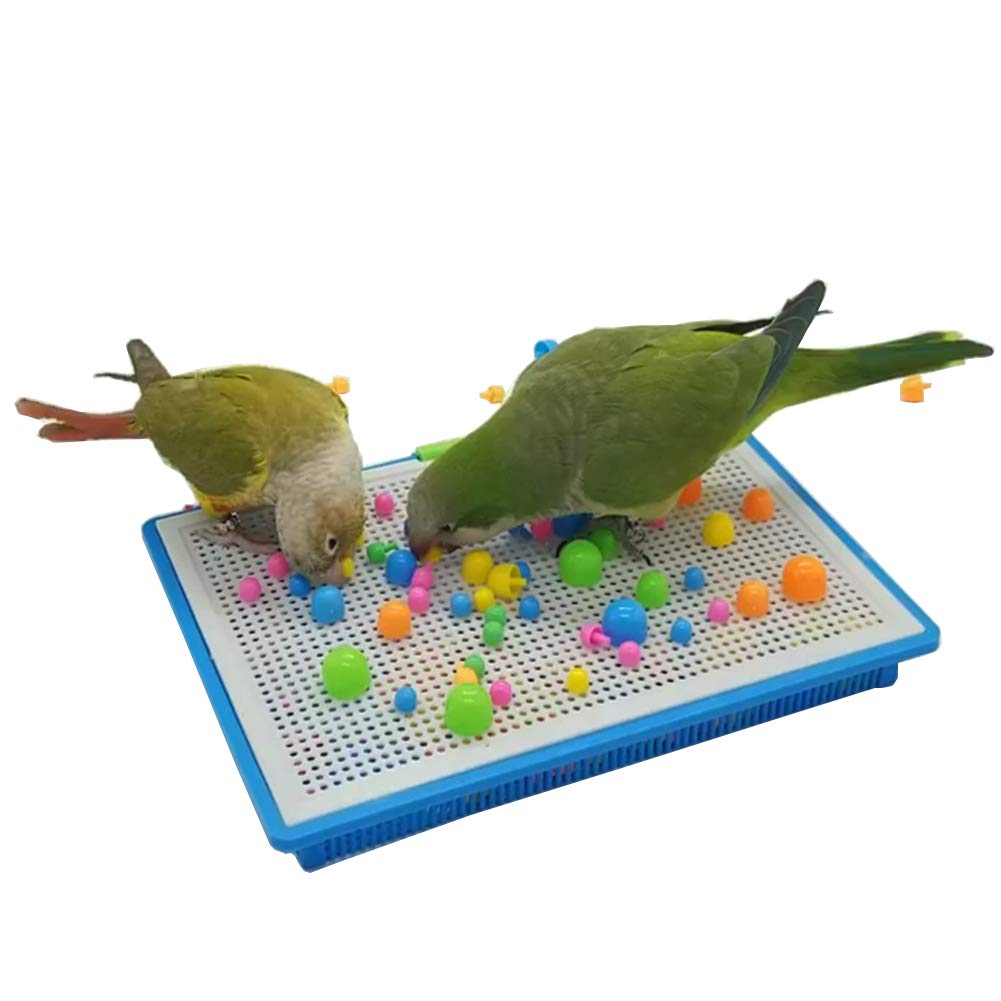 QBLEEV parrot puzzle toy blocks in white chassis enable independent problem-solving
