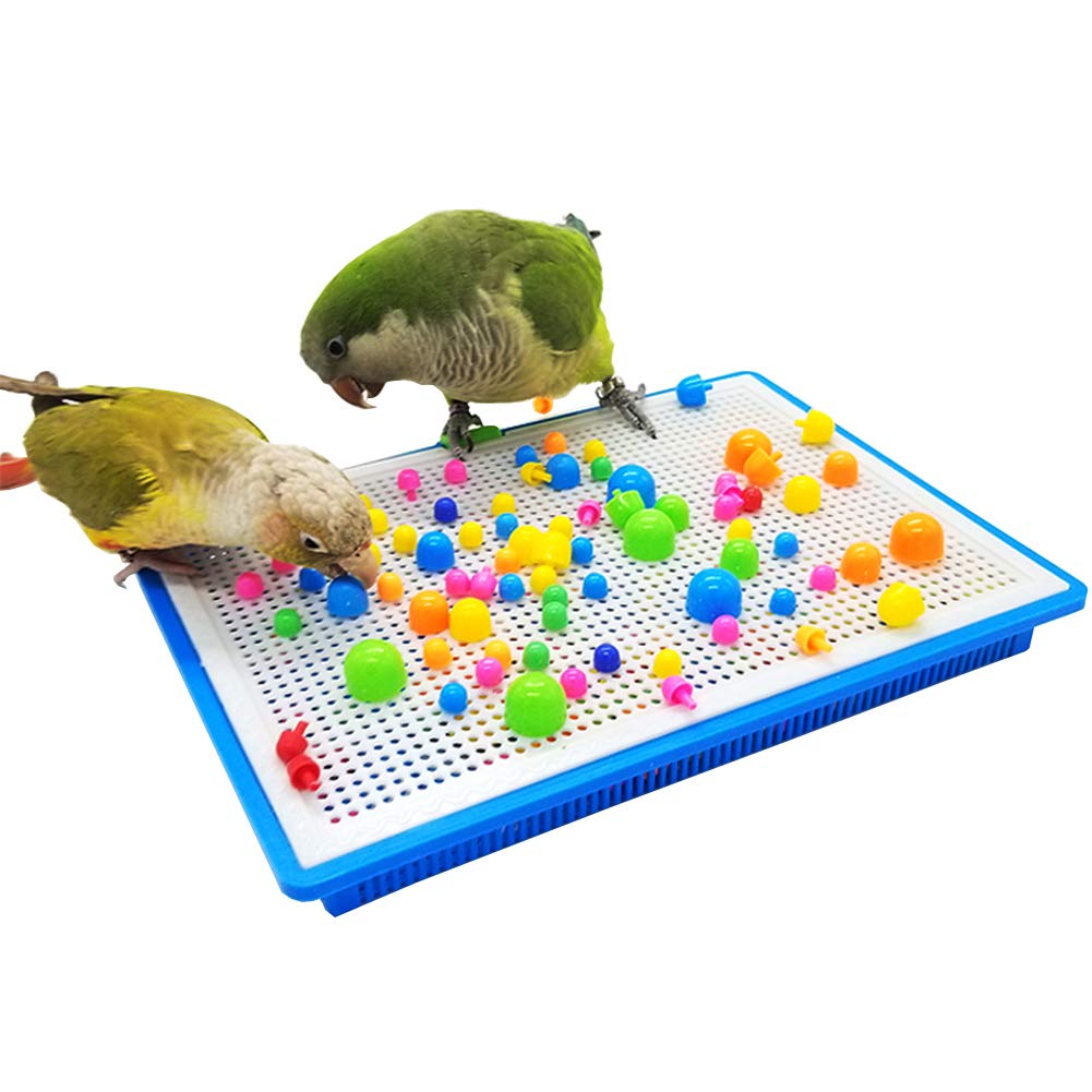 QBLEEV parrot puzzle toy dimensions help select the right size for small to medium birds