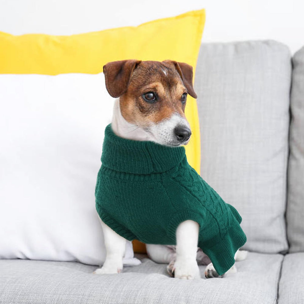 QBLEEV puppy sweater dress in pullover design for quick dressing