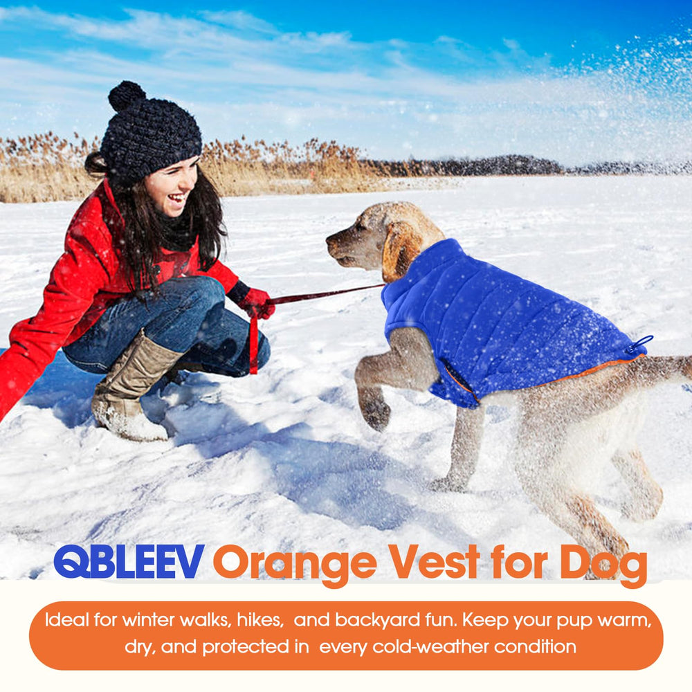 QBLEEV reversible dog jacket orange material close-up highlights waterproof shell.