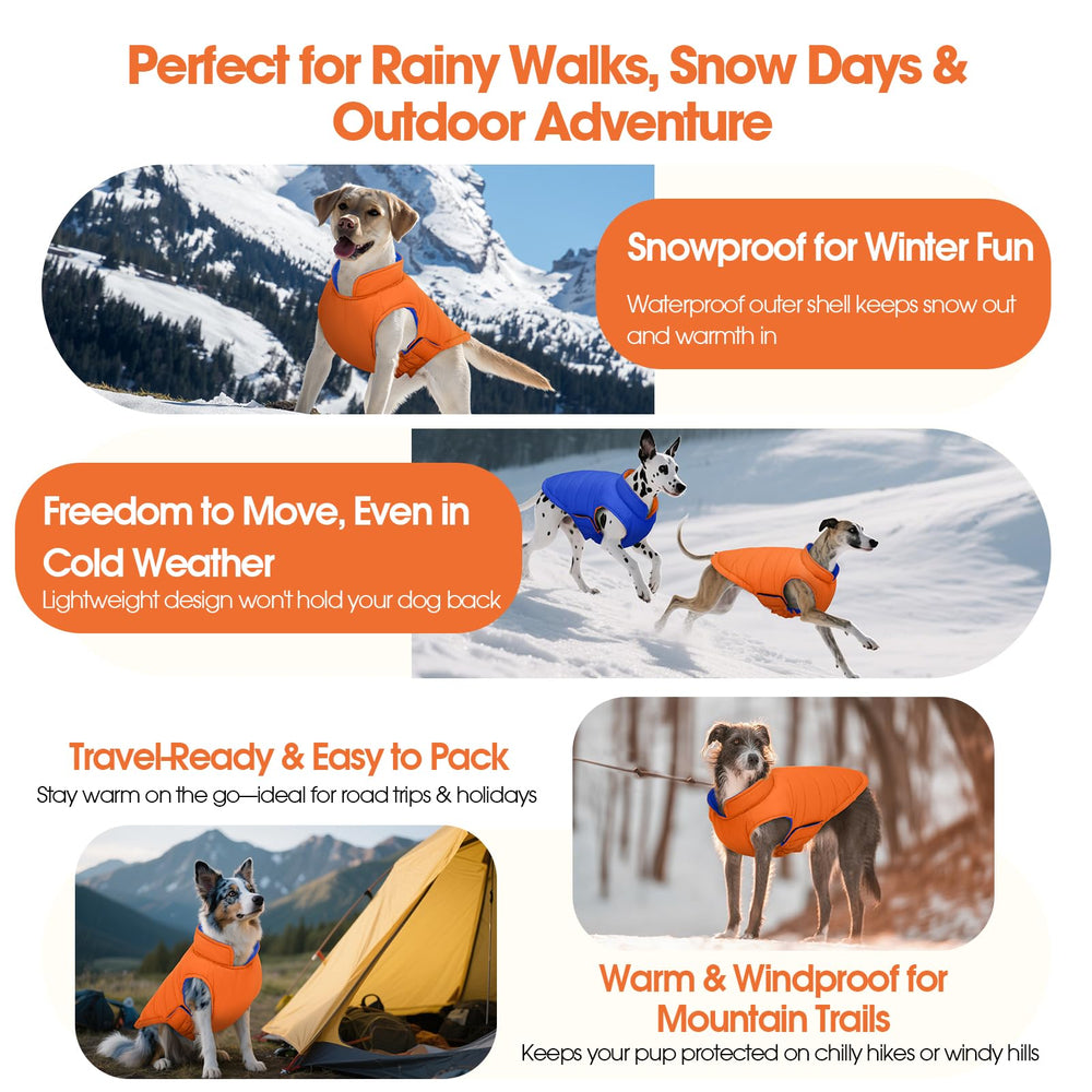 QBLEEV reversible dog jacket orange near packaging highlights travel-ready warmth.