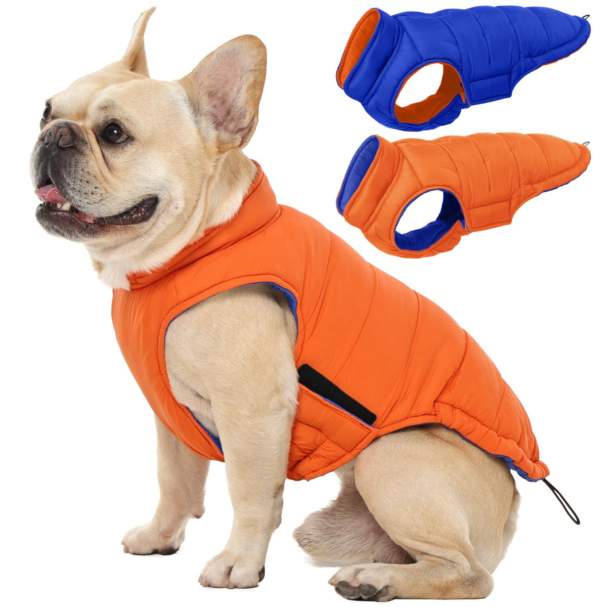 QBLEEV reversible dog jacket orange side view emphasizes two-tone design for two looks.