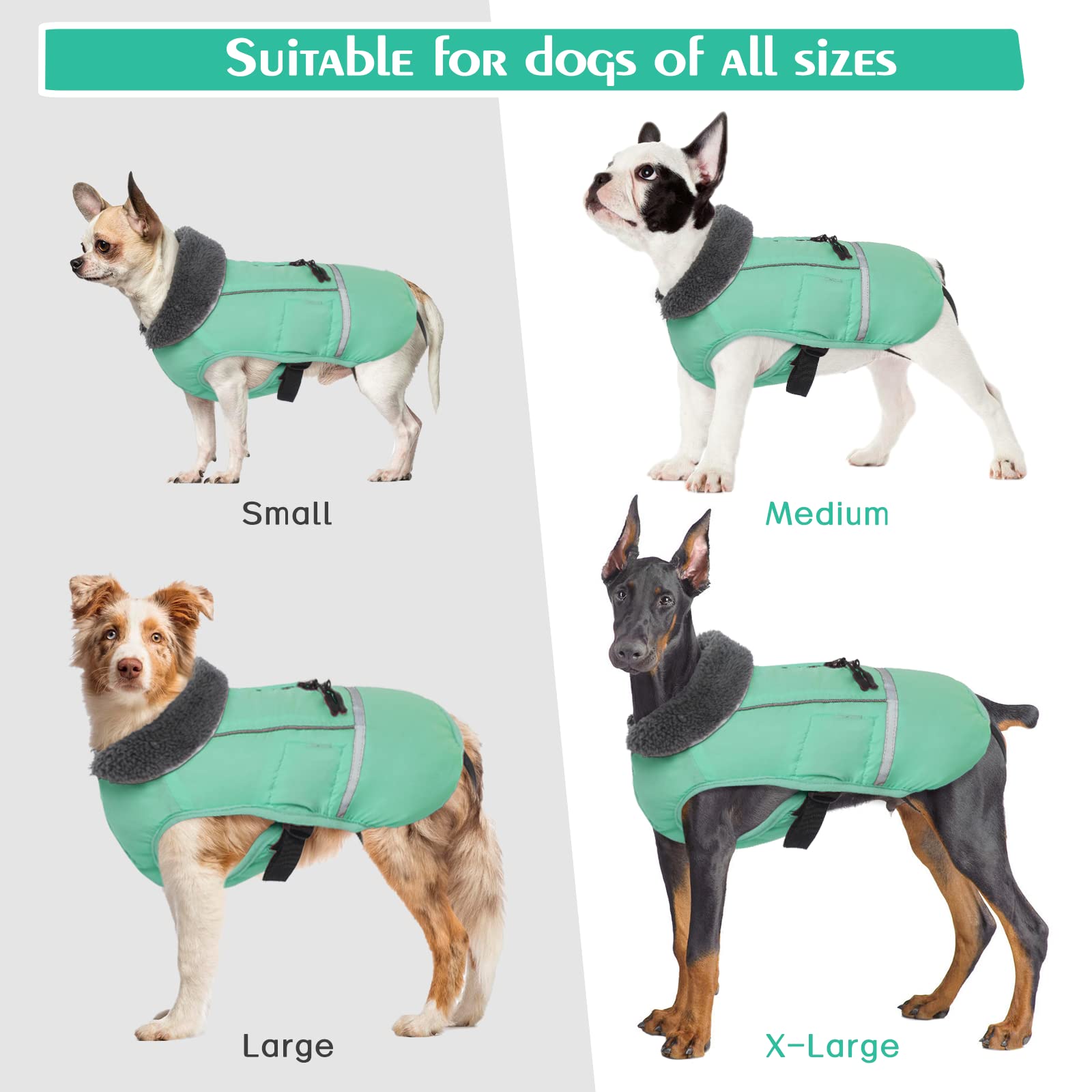 QBLEEV size range S-XXXL fits many dog breeds
