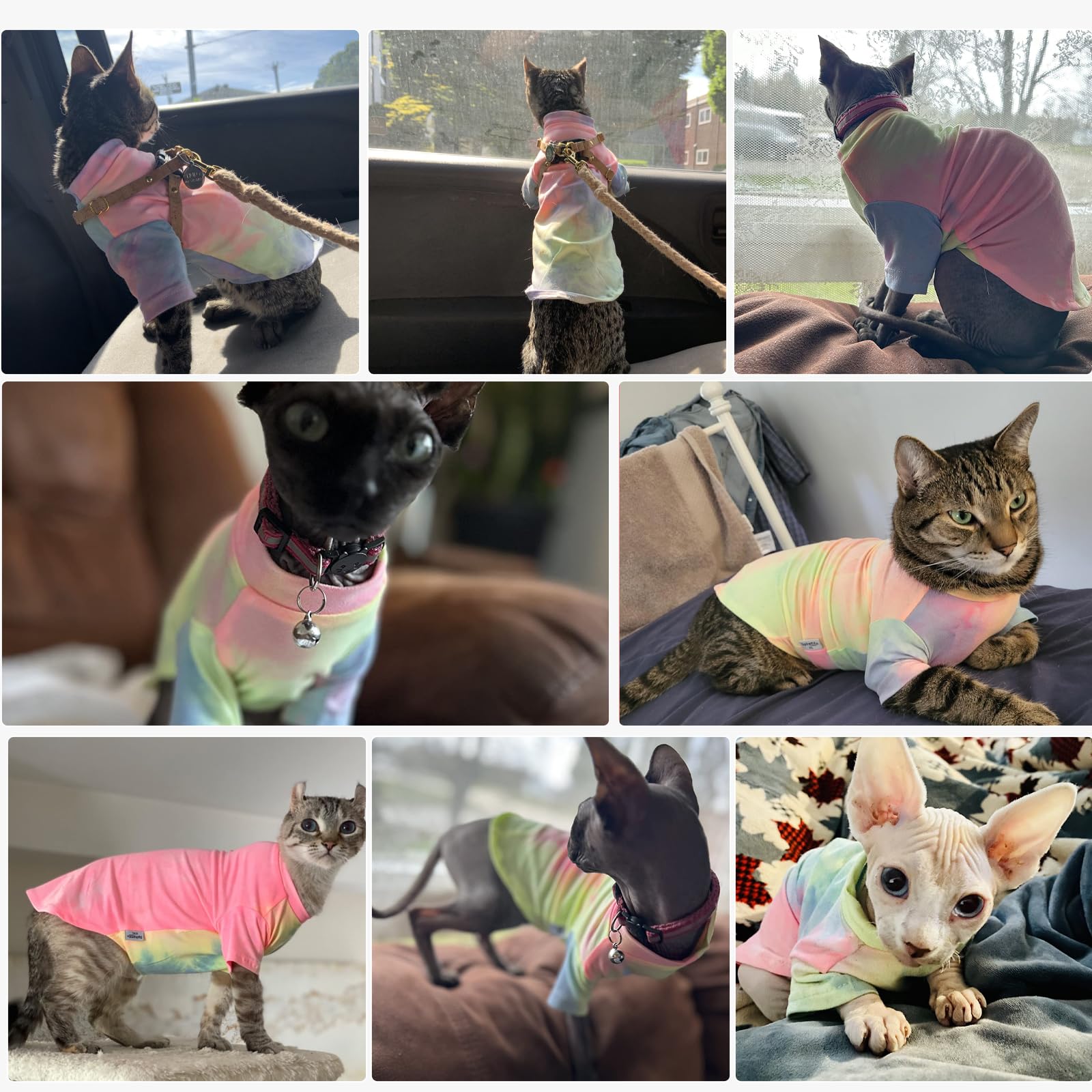 QBLEEV Sphynx shirt provides coverage to reduce contact during licking.