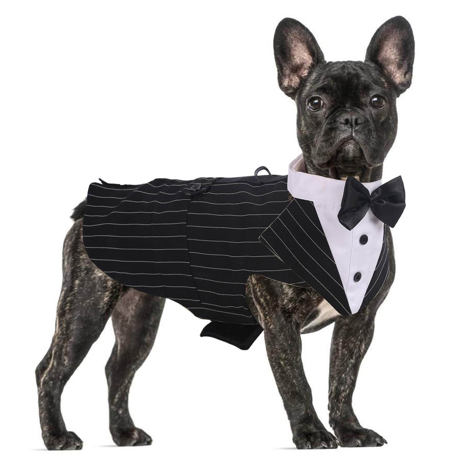 QBLEEV stripe L tuxedo set with bandana for formal events