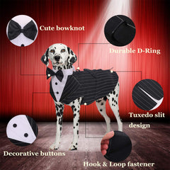 QBLEEV Stripe XL tuxedo close-up highlighting D-ring for leash control