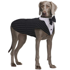 QBLEEV Stripe XL tuxedo large dog front view with bow tie for formal occasions
