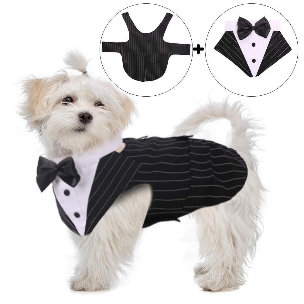 QBLEEV Stripe XL tuxedo back view with D-ring leash attachment for crowds