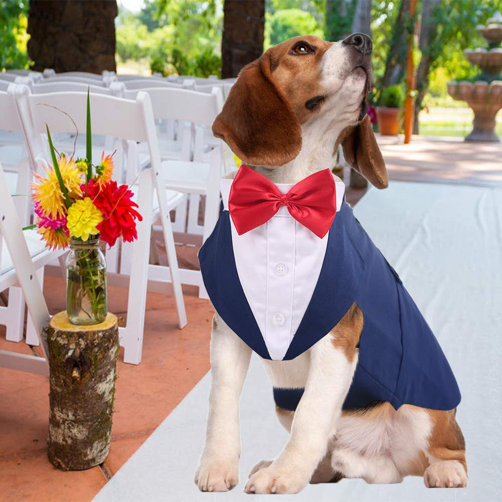 QBLEEV Tuxedo medium dog all-season wear, easy care and versatility