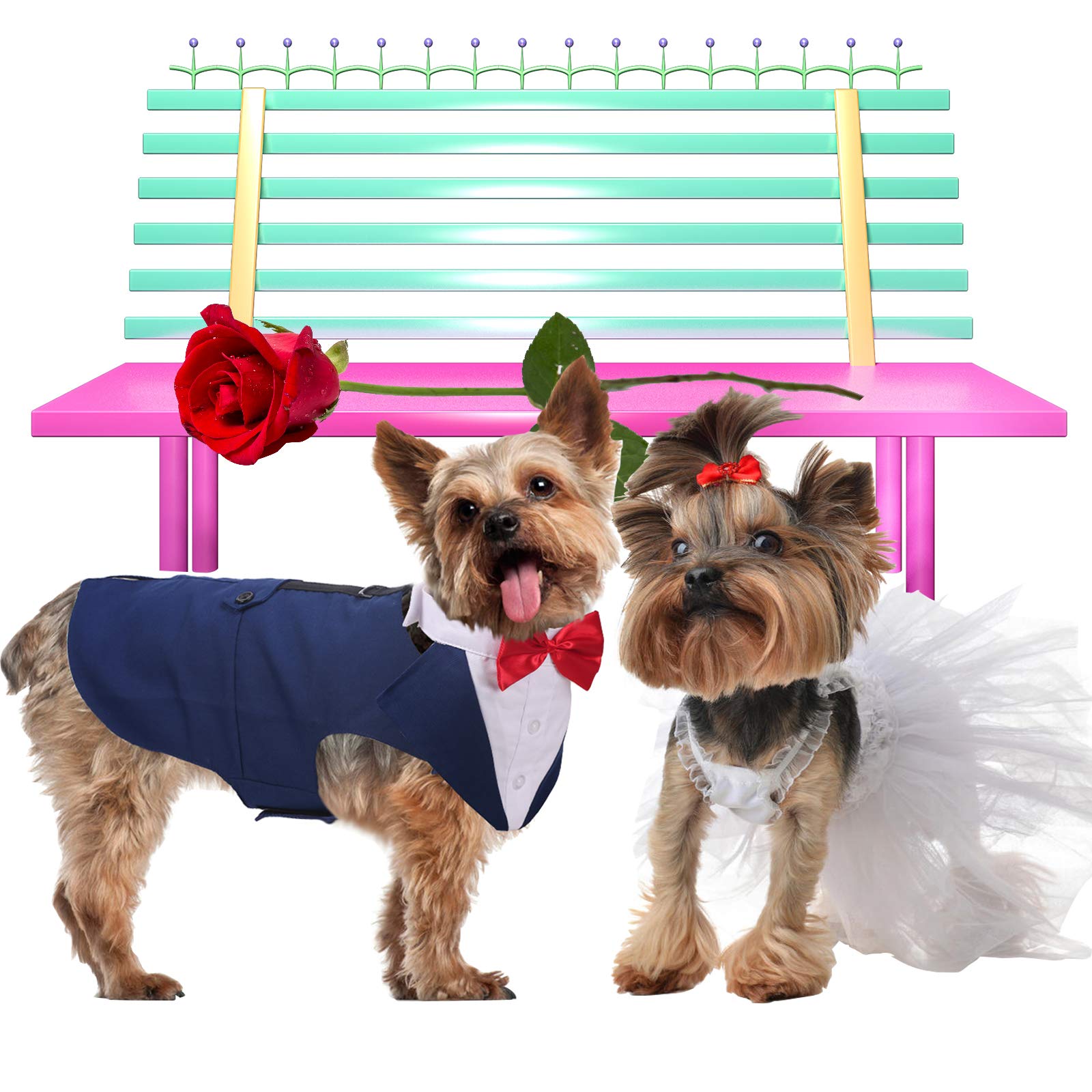 QBLEEV tuxedo fits many breeds, from Beagle to Bulldog, for special occasions