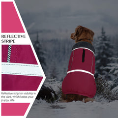 QBLEEV warm dog coat with hidden leash hole for easy control