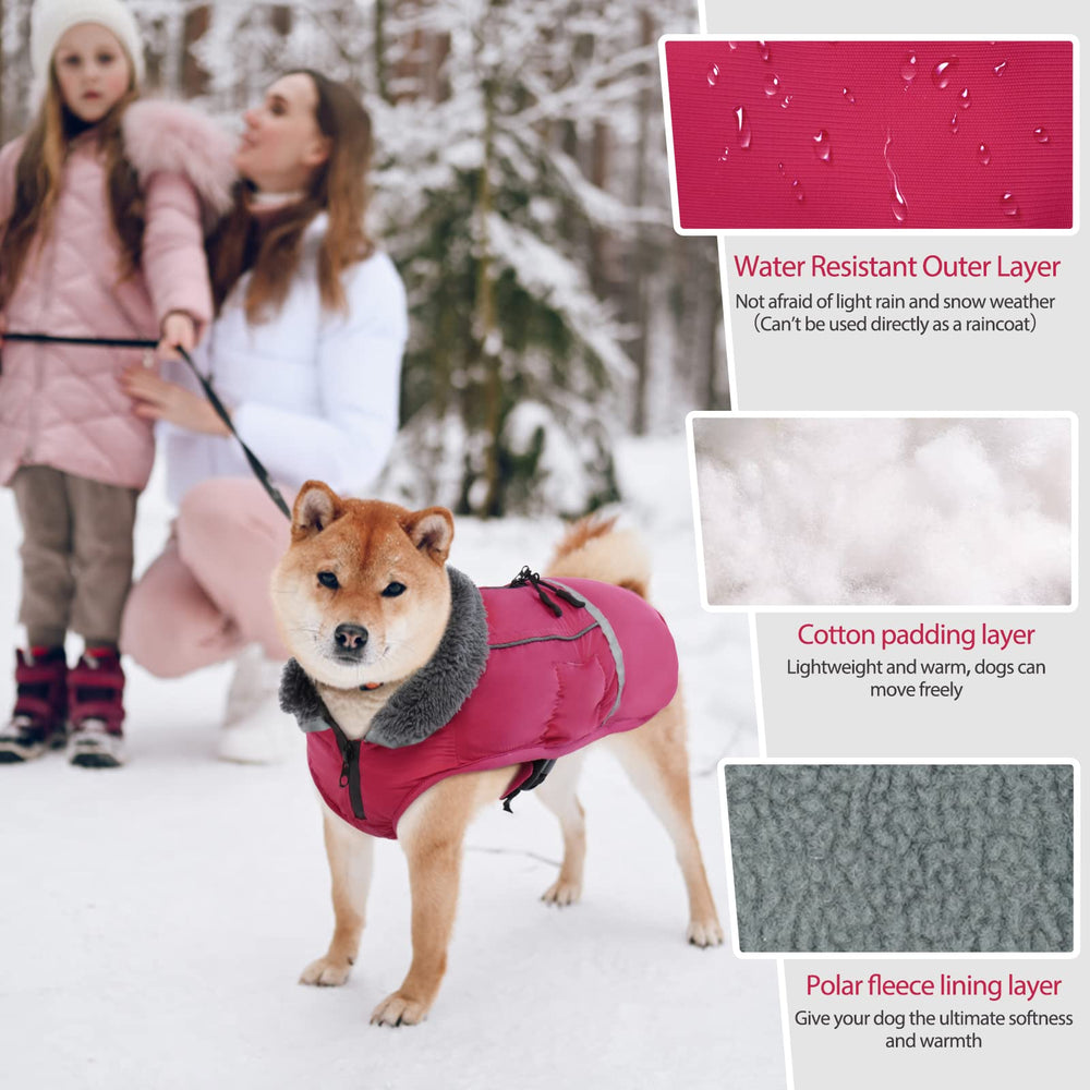 QBLEEV warm dog coat quick-release buckles for easy on/off