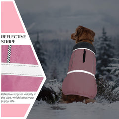 QBLEEV Warm Dog Coat quick-release buckles provide easy on-off for busy mornings