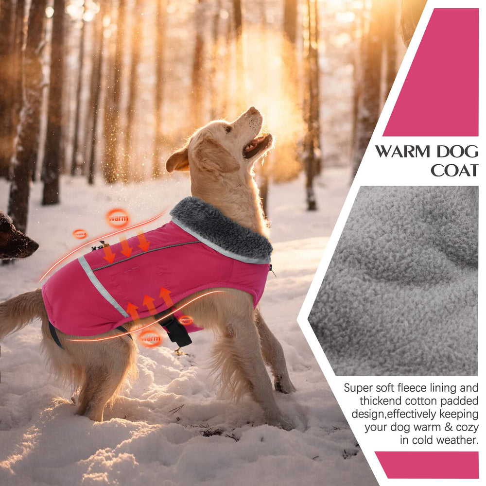 QBLEEV warm dog coat with reflective strips improves night visibility during walks