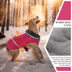 QBLEEV warm dog coat with reflective strips improves night visibility during walks