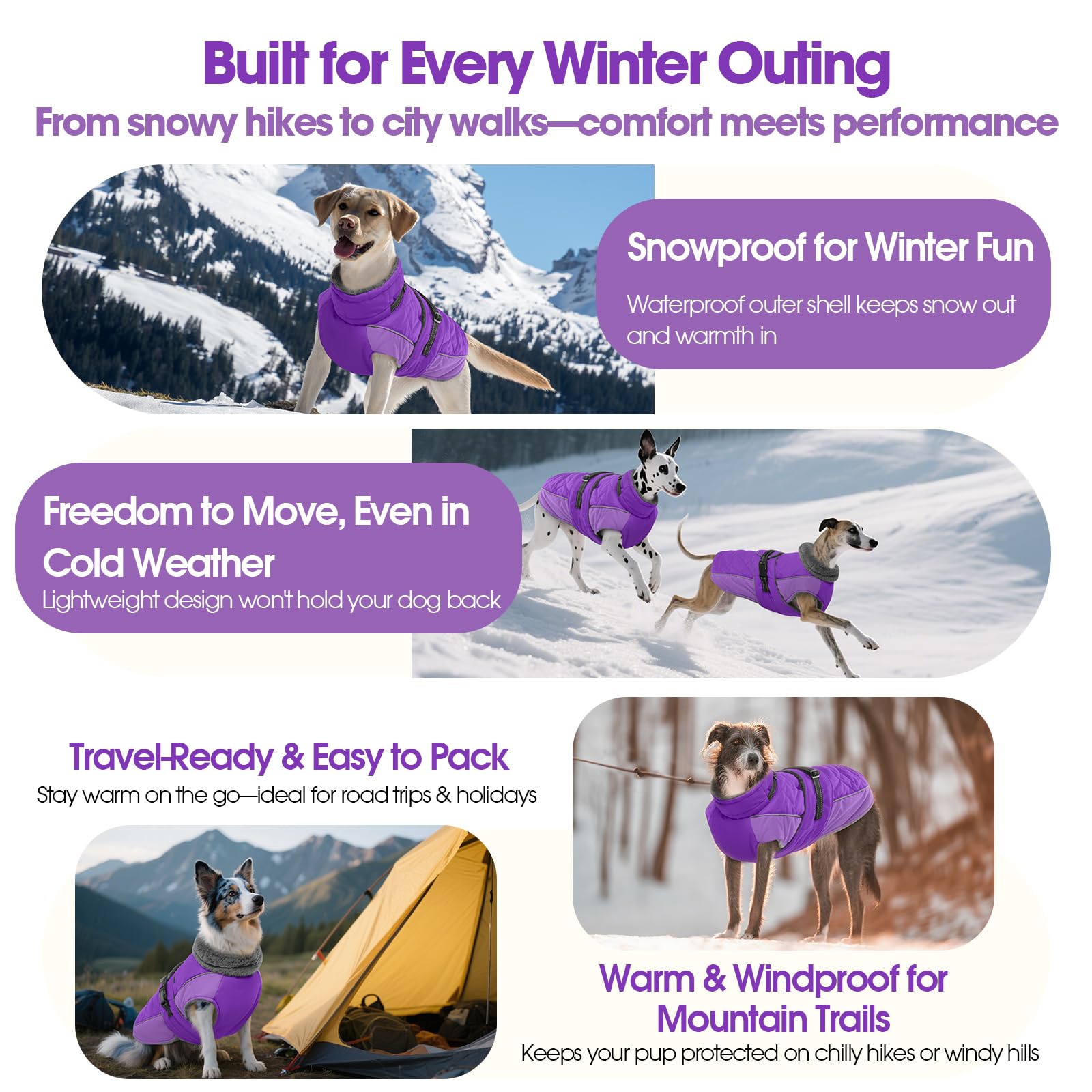 QBLEEV available in 6 sizes fits a wide range of breeds.